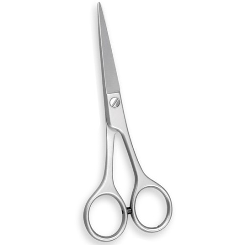 Professional Hair Cutting Scissors